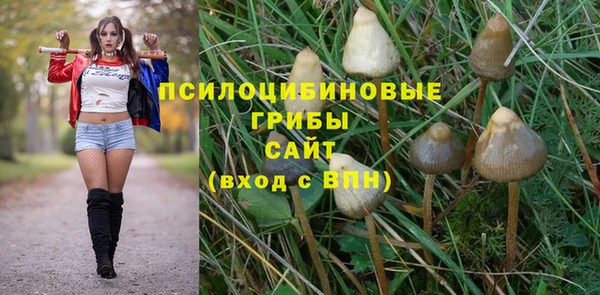 стаф Михайлов