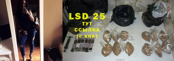 стаф Михайлов