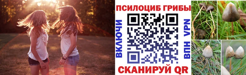 Псилоцибиновые грибы MAGIC MUSHROOMS  как найти наркотики  Таштагол 